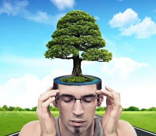 U10066P1194DT20131122140554