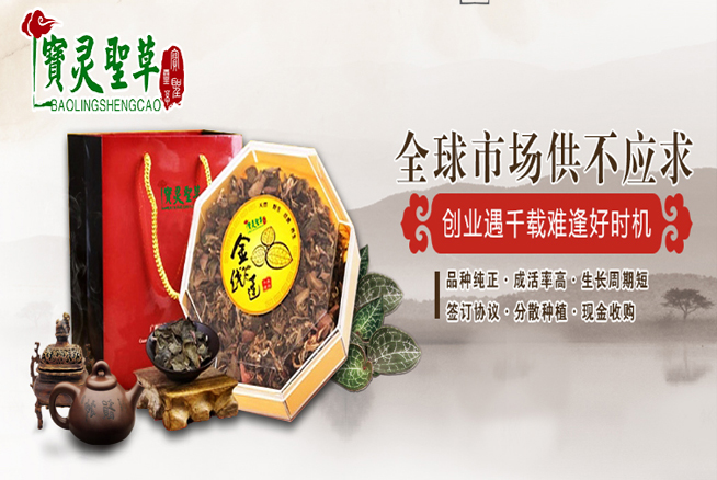 微信图片_20191111183504