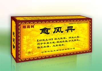 愈风丹市场推广案