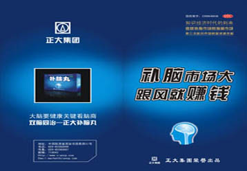正大补脑丸市场推广案