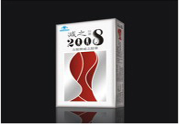 减之2008市场推广案